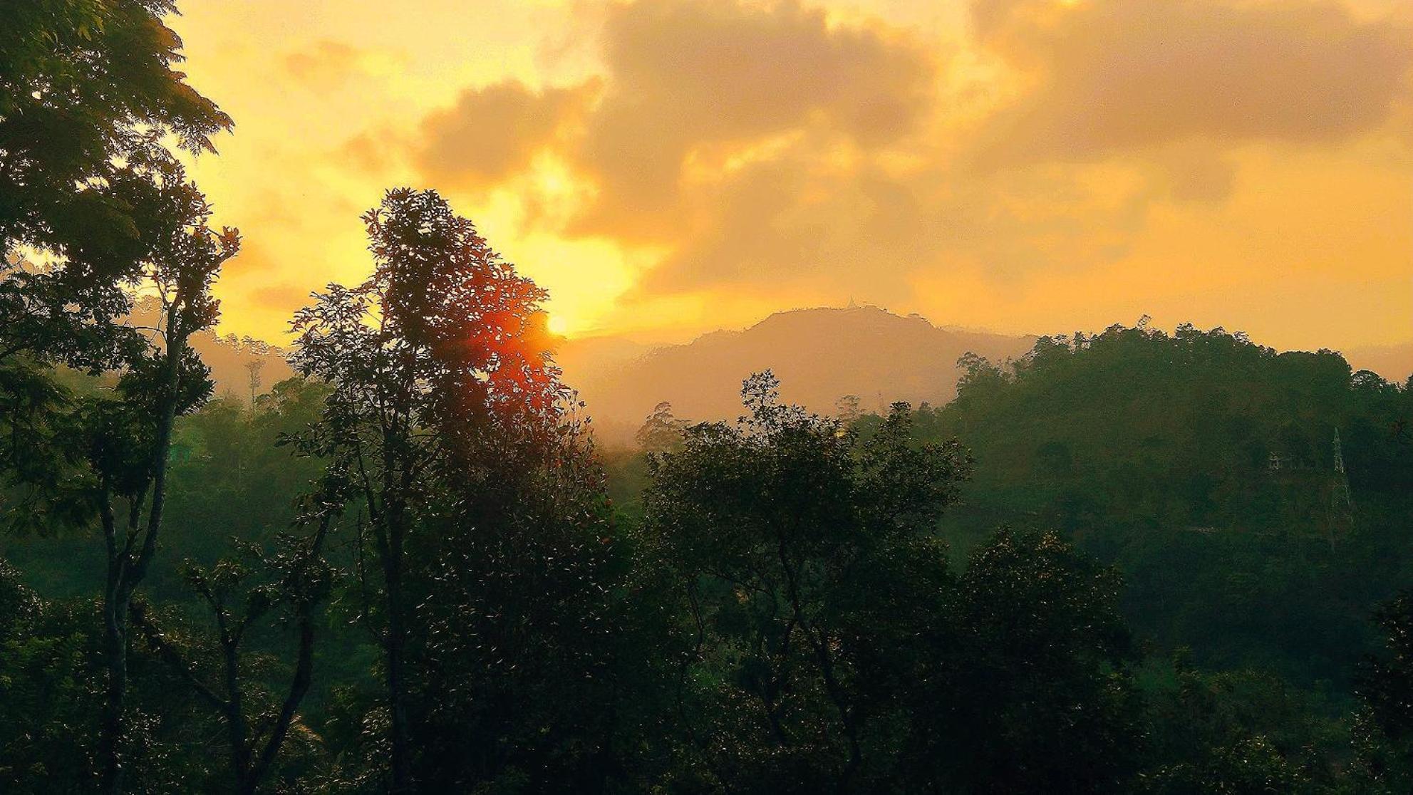 Green Jungle " Cool View" Apartment Ella Ngoại thất bức ảnh