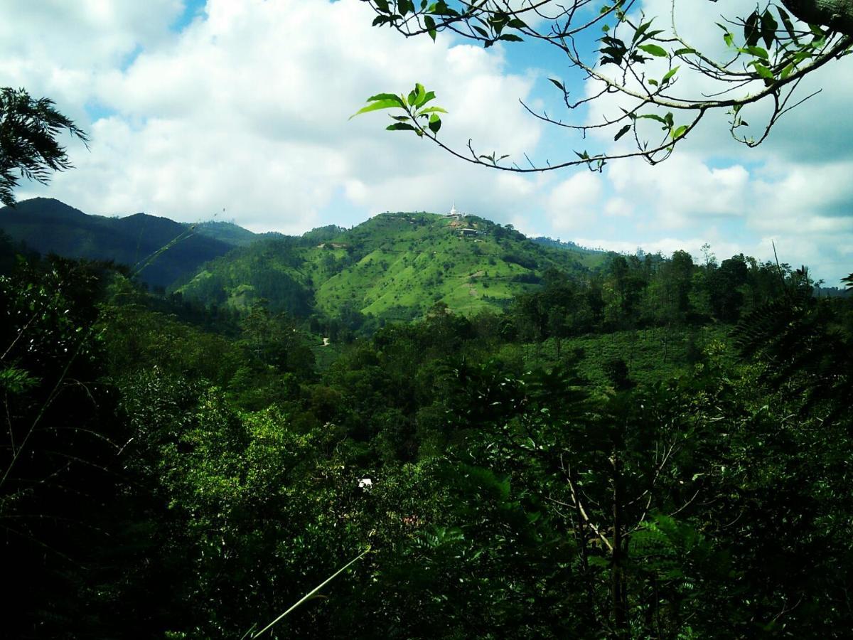 Green Jungle " Cool View" Apartment Ella Ngoại thất bức ảnh